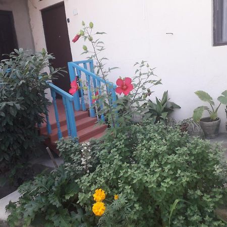 Guesthouse Zeinabi Tbilisi Ngoại thất bức ảnh